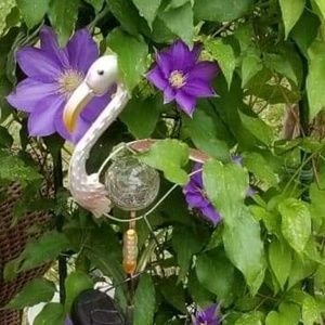 Meet your Posher, Charity